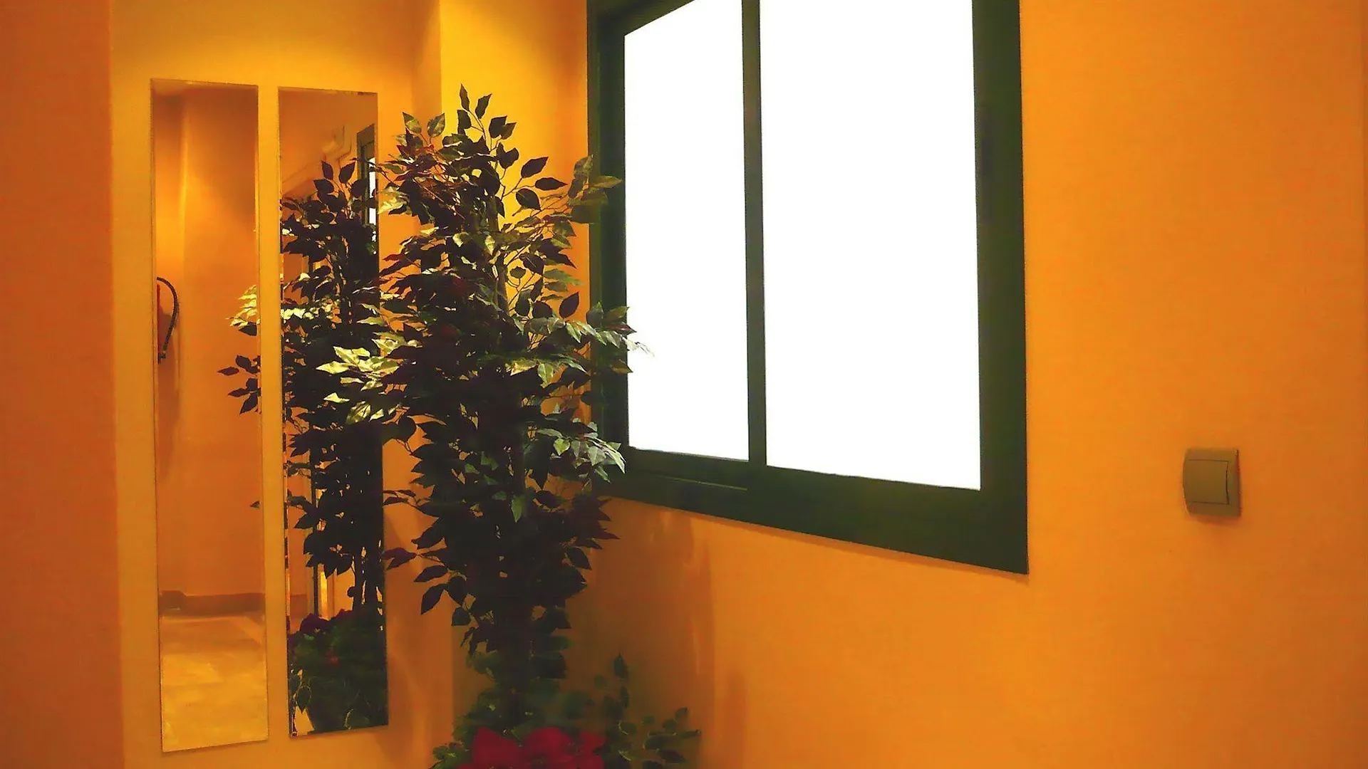 Apartamentos Suites Oficentro Málaga Appartement